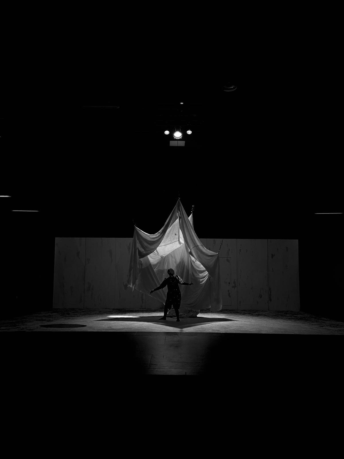 IMG-20250216-WA0016 nid-de-cendres-2